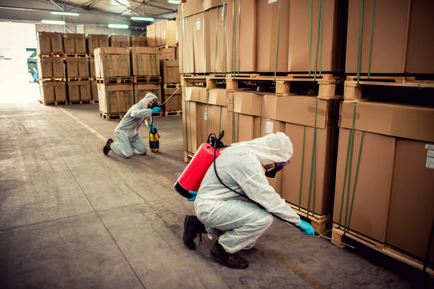 Best Pest Control Near Me in Calera, AL