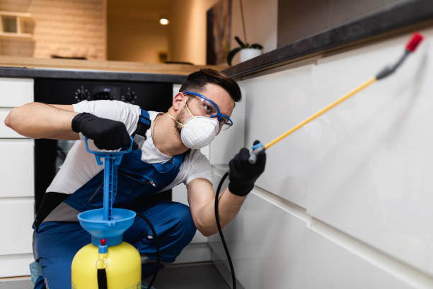 Best Cockroach Control Services  in Cera, AL