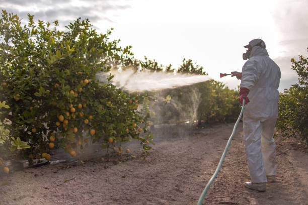 Best Best Pest Control Companies  in Cera, AL