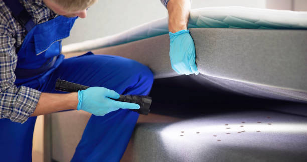 Best Pest Prevention Services  in Cera, AL