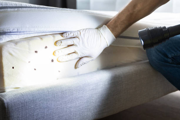 Best Best Pest Control Companies  in Cera, AL