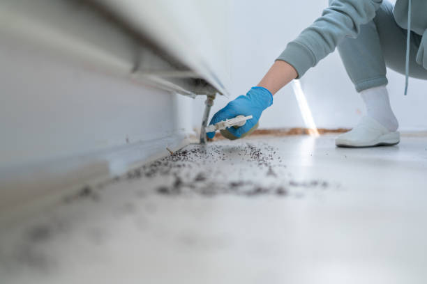 Best Flea Control Services  in Cera, AL