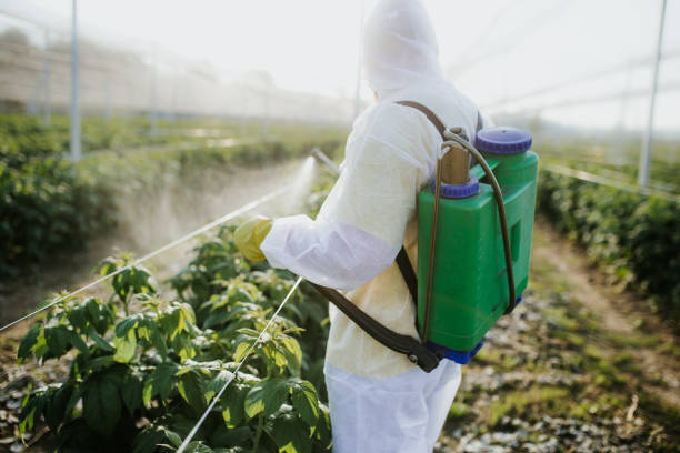 Best Pest Control Near Me  in Cera, AL